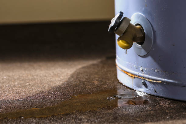 Best Water damage restoration process  in Forest Park, GA