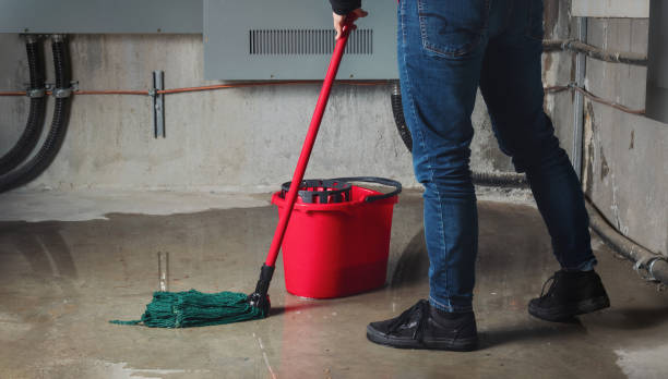 Best Water damage contractors near me  in Forest Park, GA