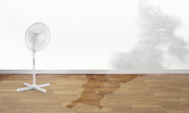 Best Emergency water damage restoration  in Forest Park, GA