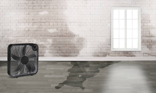 Best Professional water damage repair  in Forest Park, GA