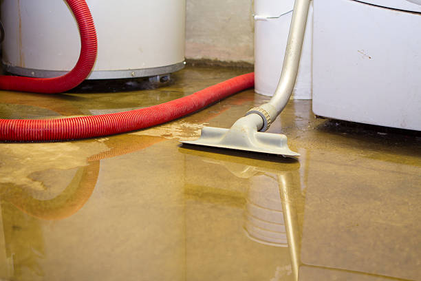 Best Residential water damage restoration  in Forest Park, GA