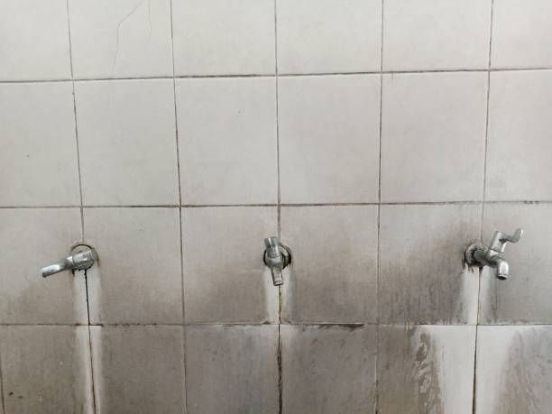 Best Water damage restoration near me  in Forest Park, GA