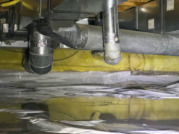 Best Water damage contractors near me  in Forest Park, GA