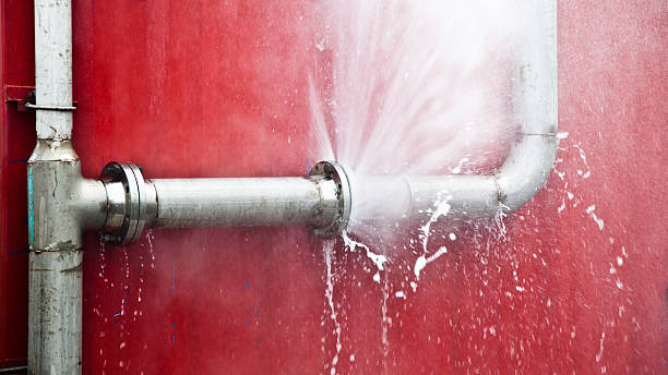 Best Mold removal after water damage  in Forest Park, GA