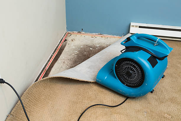 Best Water damage restoration near me  in Forest Park, GA